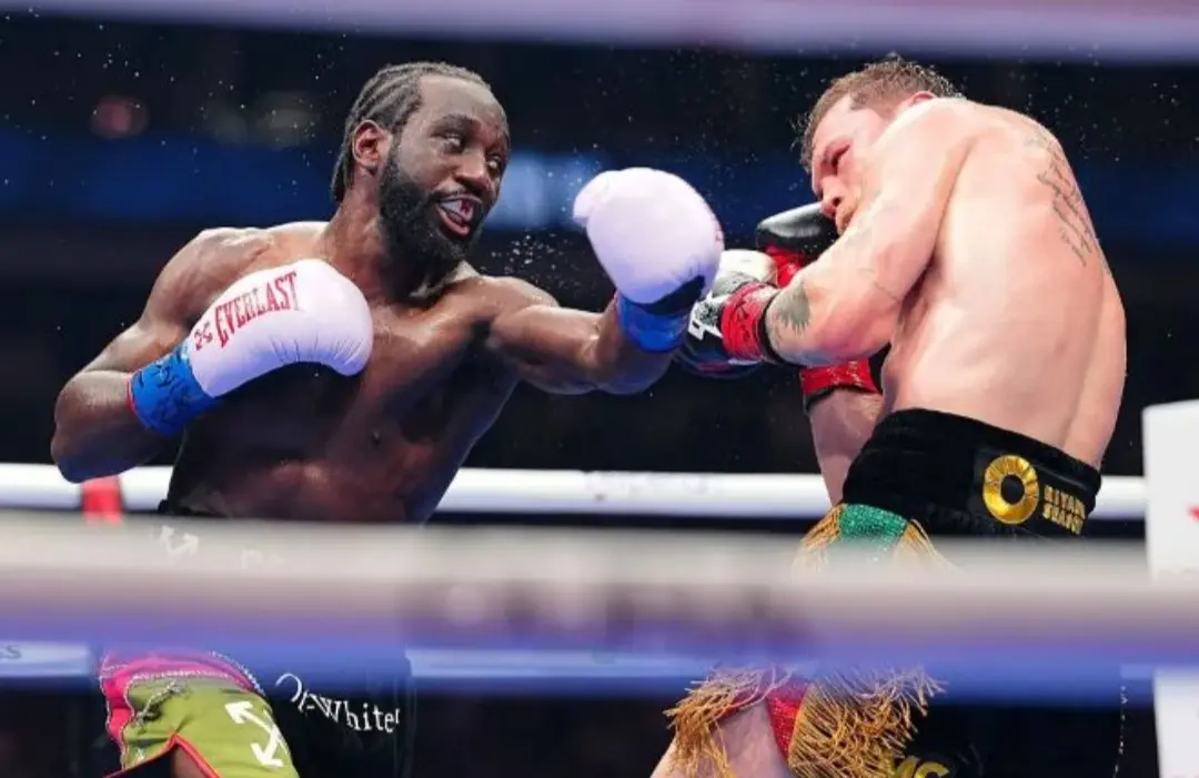 裁判, 这是观众们 裁判, 这是观众们