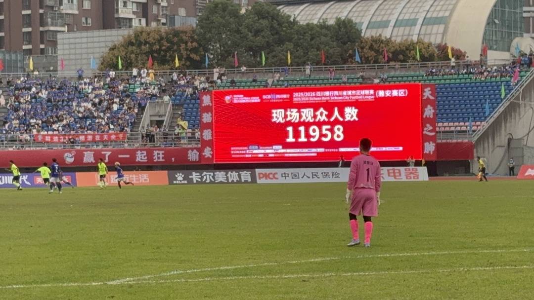 amp, forma, img amp, forma, img